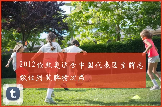 2012伦敦奥运会中国代表团金牌总数位列奖牌榜次席